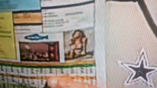 Illustration for article titled Rob Ryan's Play Chart Had A Photo Of A Woman In A Bikini On It (Updated)